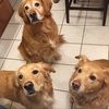 kelseytaylor293